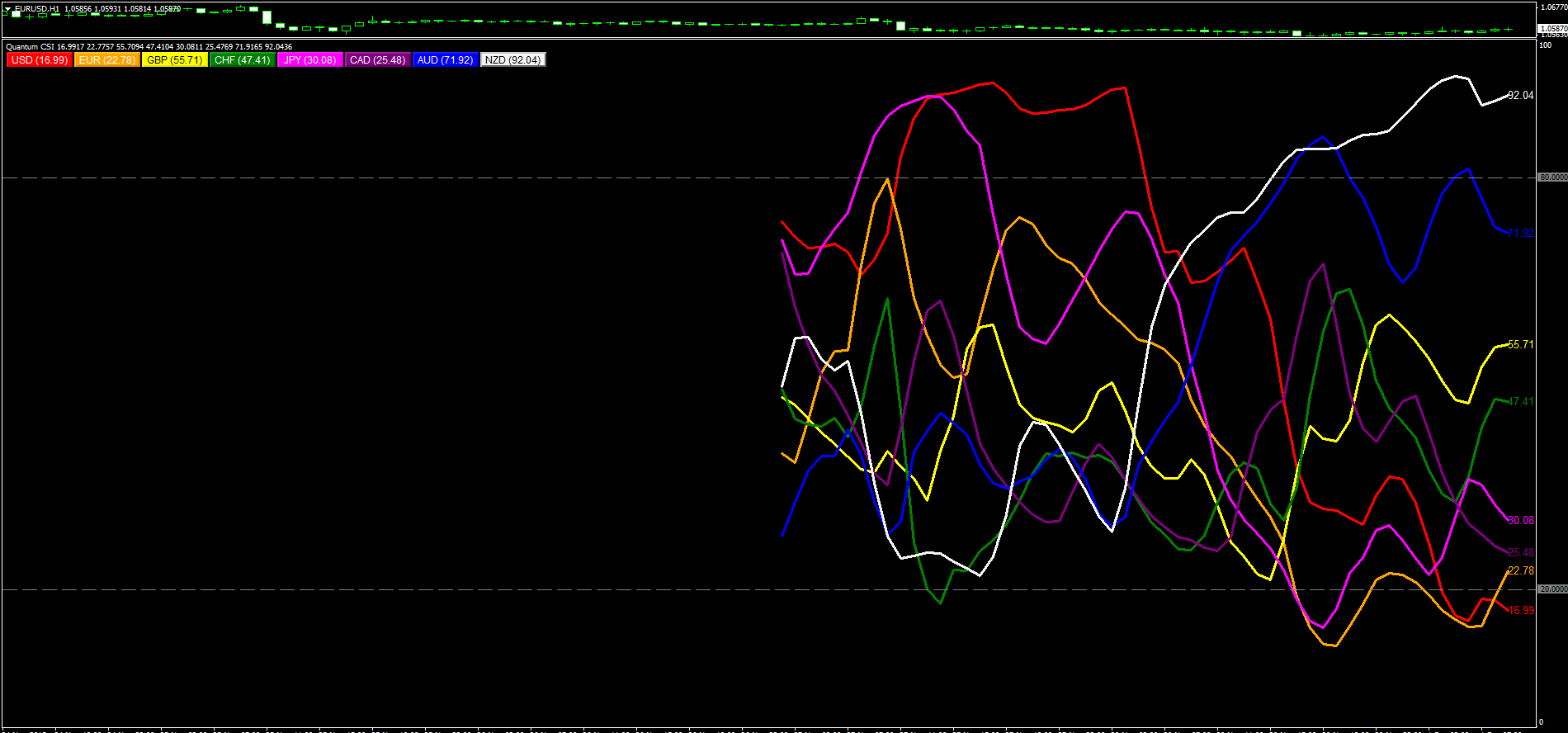 quantum forex success free download